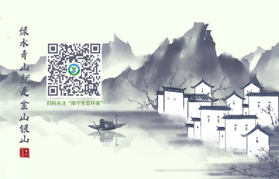 邕小环讲生态故事｜竹子的馈赠：土种树，木养土。竹子的功劳，你知不知道？