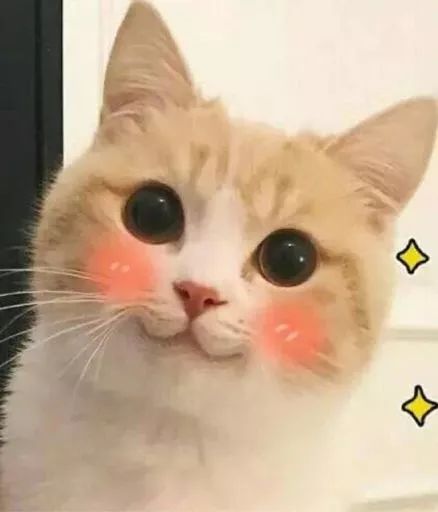 干粉灭火器过期了如何处理,车上灭火器过期怎么处理