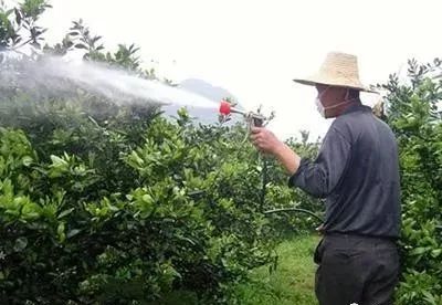 最省钱的打药技巧,高手打药技巧