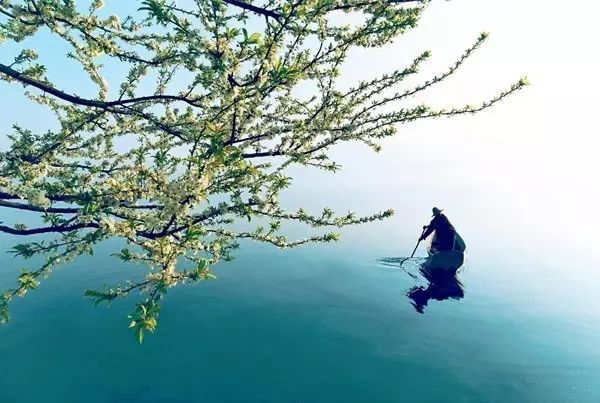 四川有座紫色小城，5月比美澳洲，比大理更多情