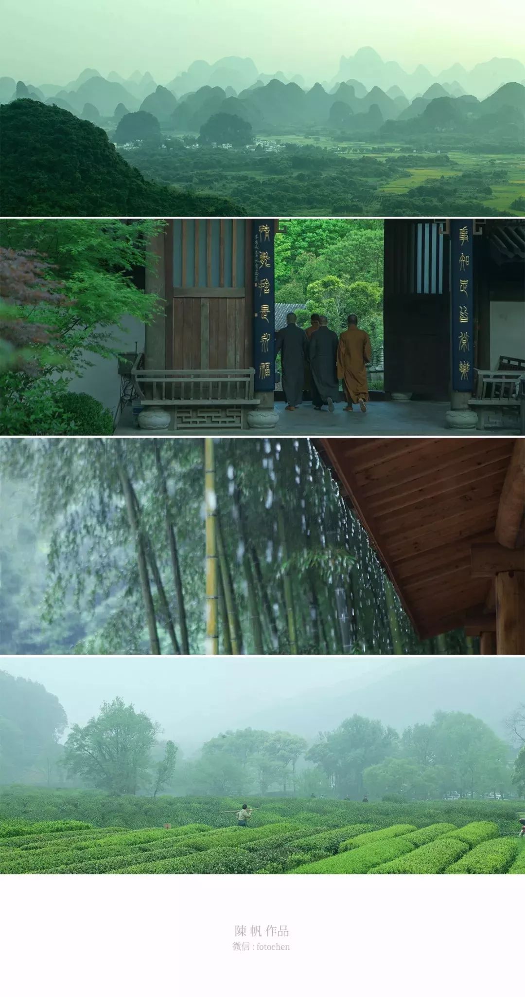 谷雨喝茶养生健康,谷雨节气与喝茶