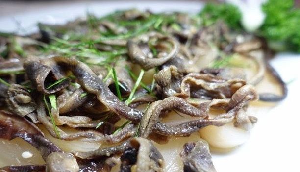 吃虫的怪物,吃虫虫真实视频