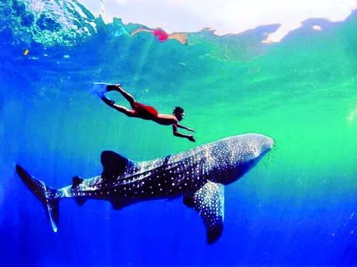 旅博会展会,旅博会直播