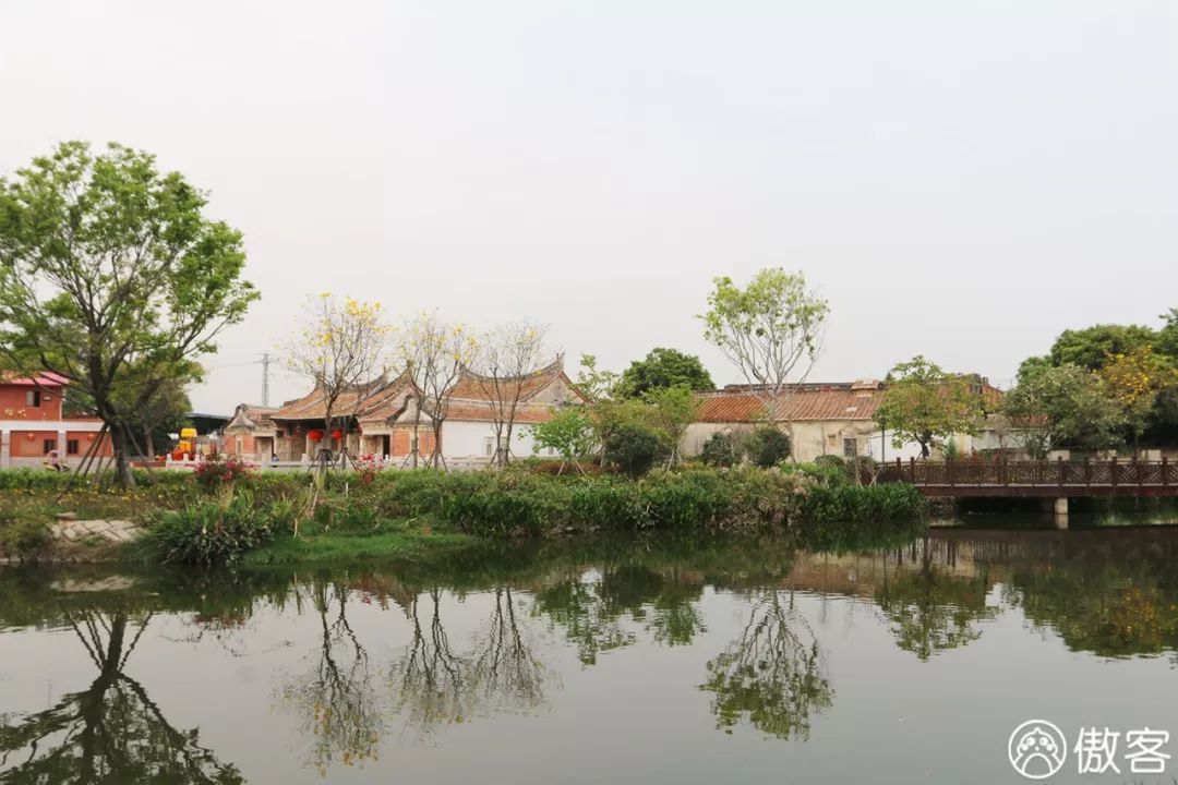 厦门美食探店海沧,厦门海沧特色美食探店