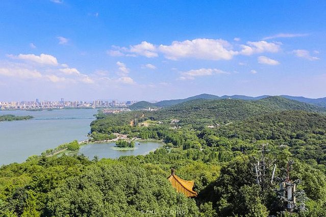 无锡赏花一日游,无锡春日樱花旅游攻略