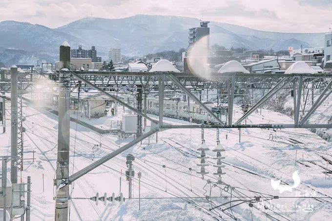 日本确定3月1日开放入境吗,日本开放办理工作签证的最新消息