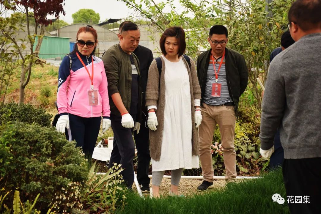 搴櫌姘存櫙鍠风亴,鍠风亴姘存櫙