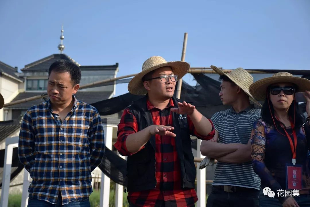 喷灌浇水最快的方法,庭院自动喷灌用什么水