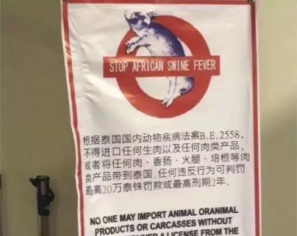 女子过海关被查完整版,女子过海关差点被判死刑