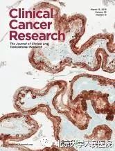 中国血液病知名专家黄晓军,黄晓君院士破解白血病世界性难题