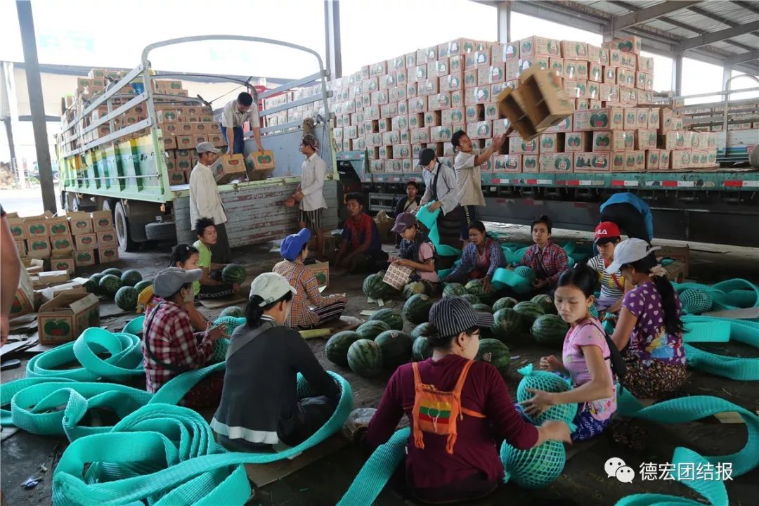 壮丽70年奋斗新时代的视频,壮丽70年奋斗新时代美篇