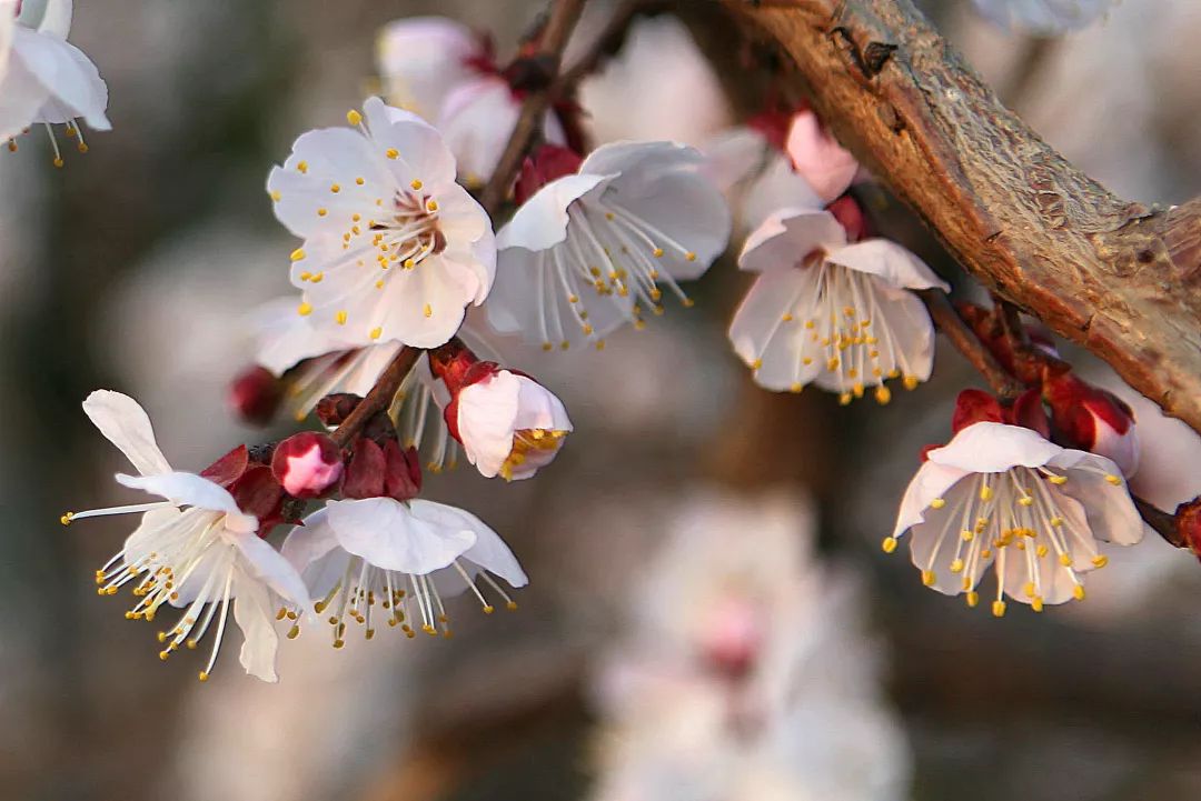 随手开个窗，女子竟染上了这种病...春天千万要当心！