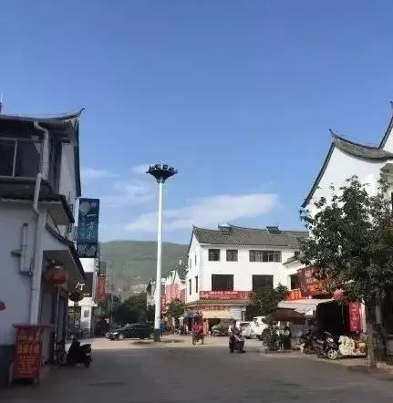 石屏杨梅樱桃采摘方法,石屏杨梅上市了欢迎大家来品尝