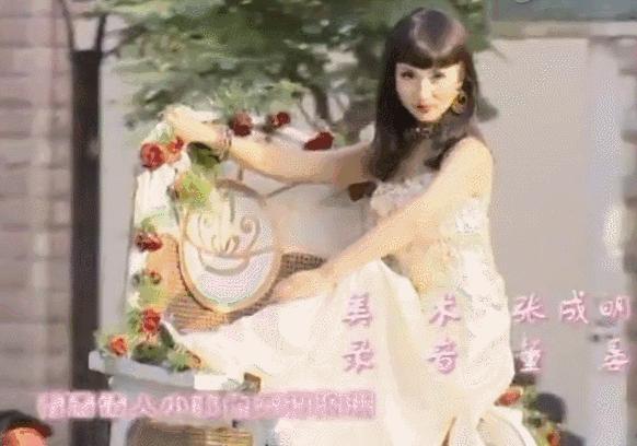 陈好历程,大家还记得当初的万人迷陈好吗