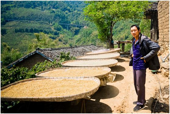 拼多多助力农业脱贫视频,拼多多扶贫行动