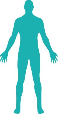 科普肾脏,医学科普出汗和肾脏关系