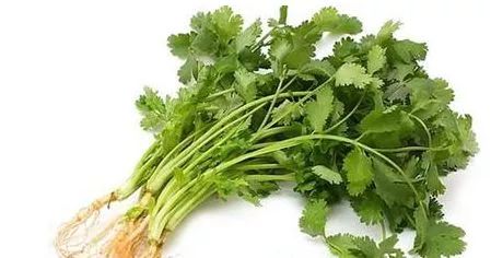 仁和医院：这种菜好多人都不喜欢，但能降压、驱寒、清毒，不吃太亏！