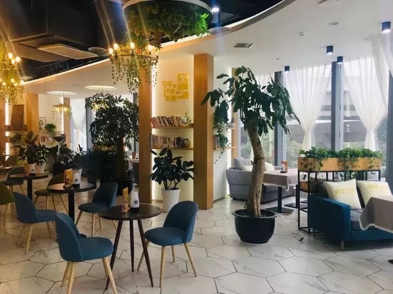 追梦成华|手绘未来!团团周末油画班超有爱~！