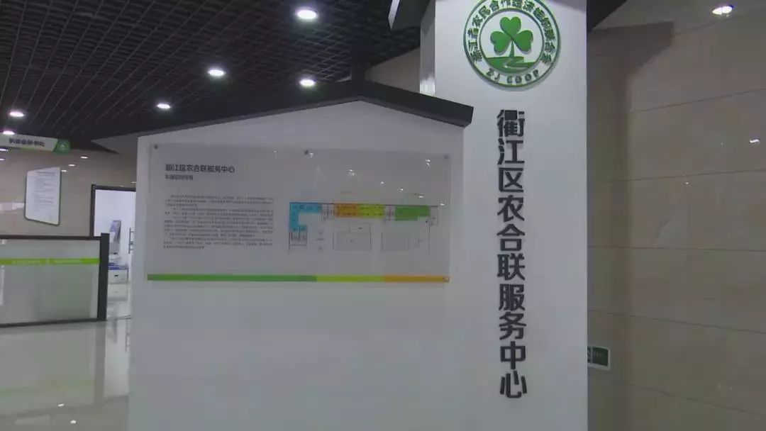 浙江日报头版评价,浙江日报评论拥抱改革