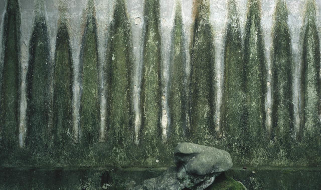 房子在她的镜头里变得生动，来看建筑摄影师埃莱娜30年作品展