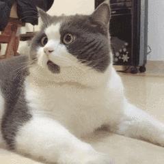 儿童要如何正确的预防哮喘,幼儿哮喘常见知识