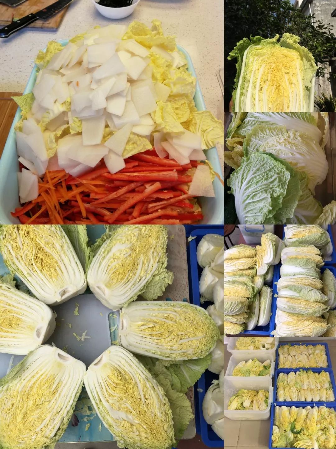 她连续三年，走遍大半个韩国学习传统泡菜，改良后的泡菜，要排单一个星期以上才能买到！