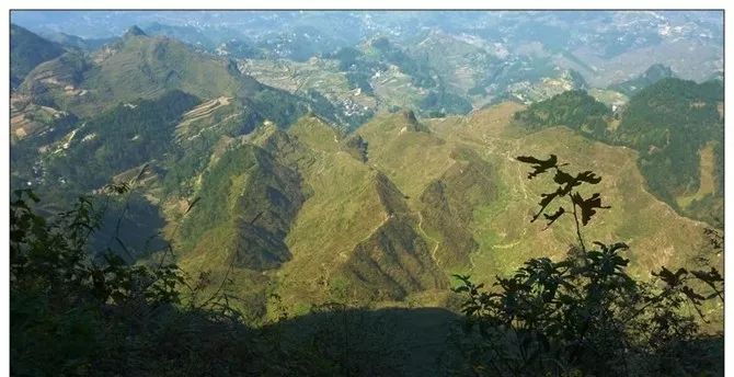 文学贵州||天楼山的梦想（散文）