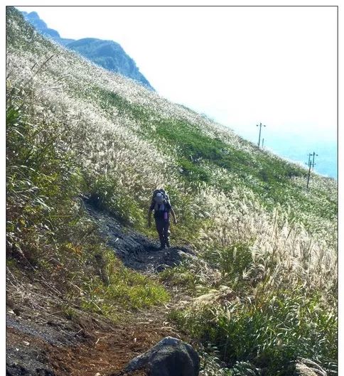 文学贵州||天楼山的梦想（散文）