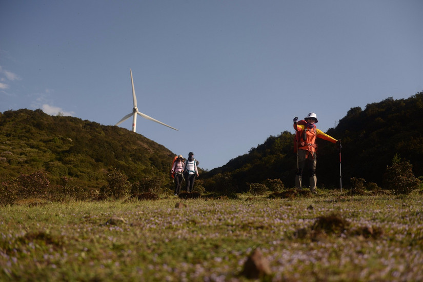 牛棚梁子全部视频,牛棚梁子