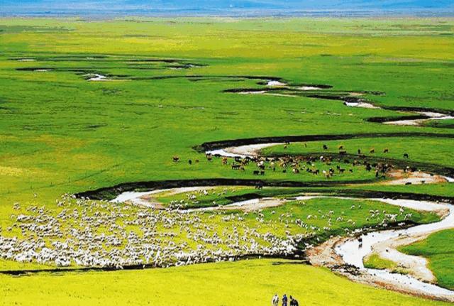 文末有福利|山东广电草原夏令营推出亲子营，8月带娃一起嗨