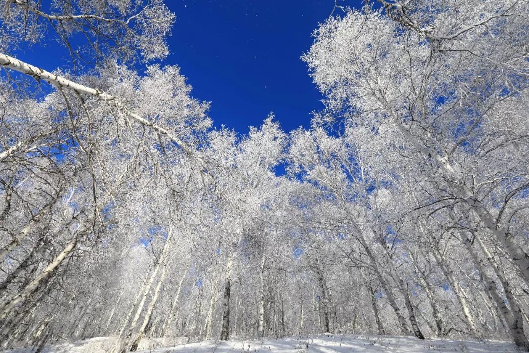 阿尔山五一适合旅游吗,五一阿尔山的风景怎样