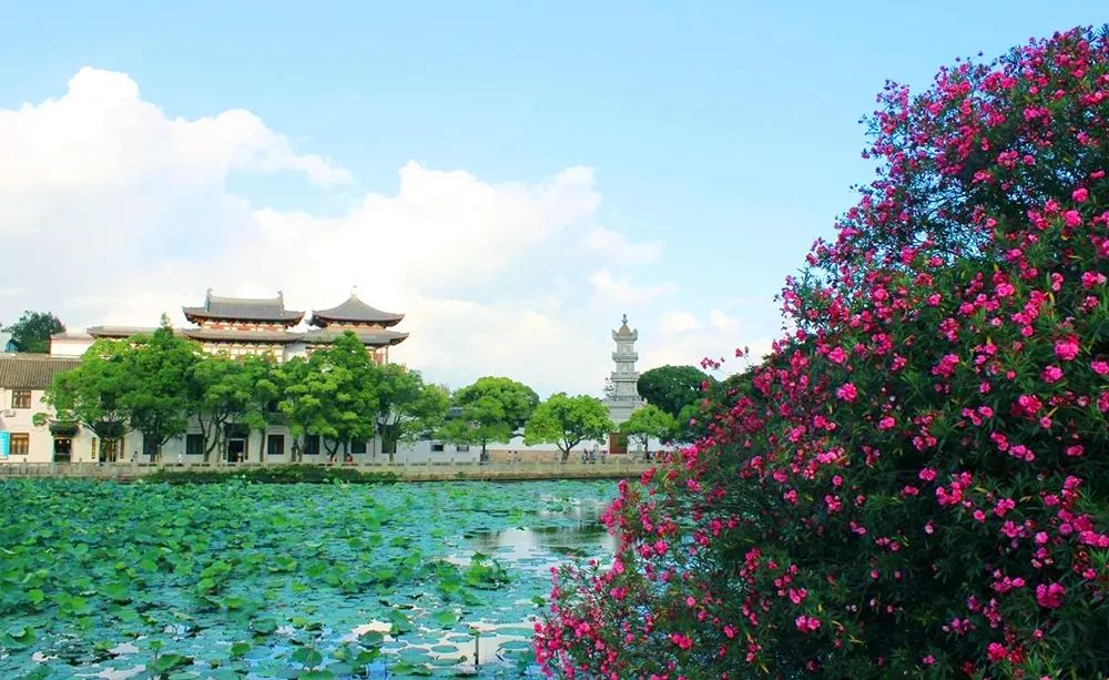 必点海鲜酒店优惠,舟山值得去的海景酒店