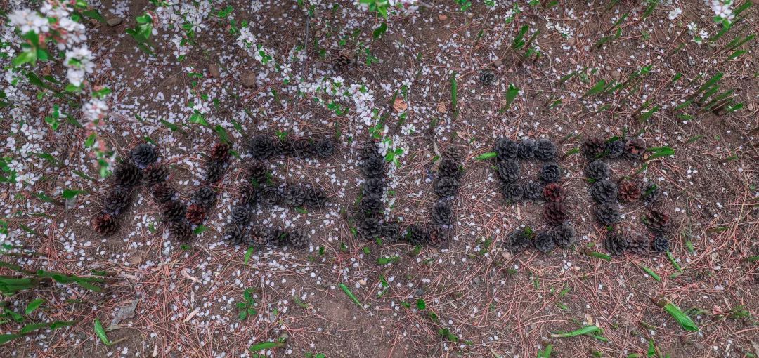 搴嗙寤烘牎100鍛ㄥ勾鐢熸棩蹇箰,寤烘牎96鍛ㄥ勾