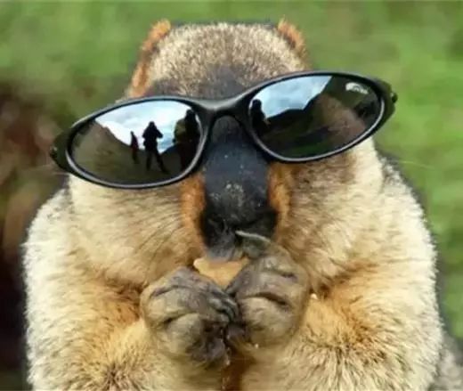 一封来自春天的邀请函,一封来自千里山海的寻味邀请函