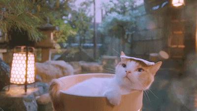 沉浸式泡温泉夏日玩水圣地推荐,送福利啦