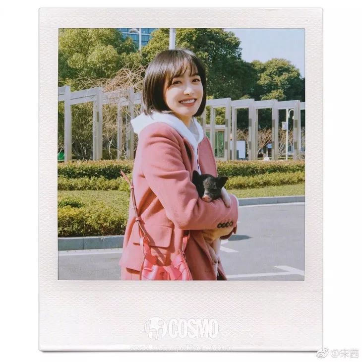 刘亦菲自曝戴假发片,刘亦菲秃顶引热议