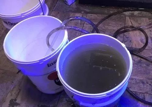 日常鱼缸维护注意事项大全,大型鱼缸维护十大技巧