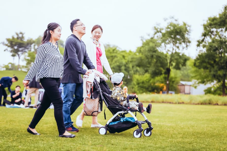 辰山植物园值得去的地方,上海辰山植物园最值得看的