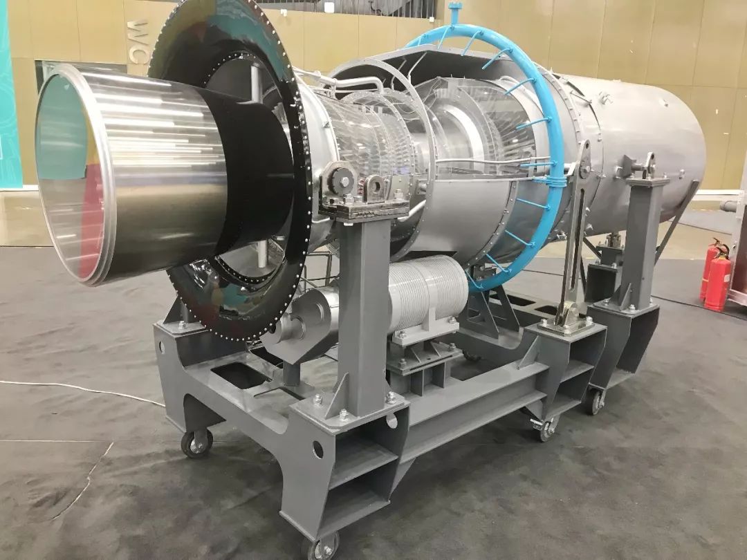 年轻，就要最认真见面！浙江卫视直播“2050大会”实况，十大容器全方位揭秘