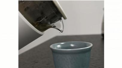 能冰鲜的泡茶壶？！夏天有了它，冰饮料、热养生茶全搞定了！