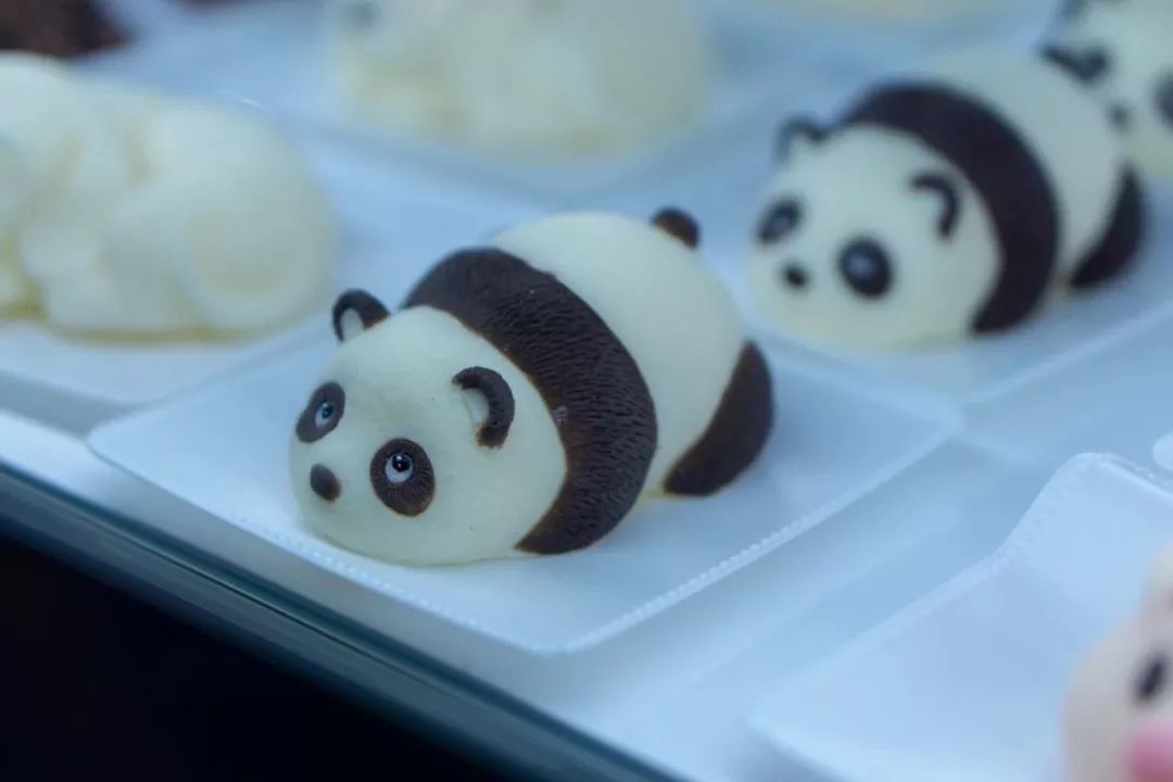 熊猫萌啦,熊猫萌