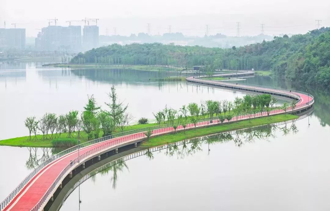 【荐读】熊猫：萌啥子哟，我是要雄起！