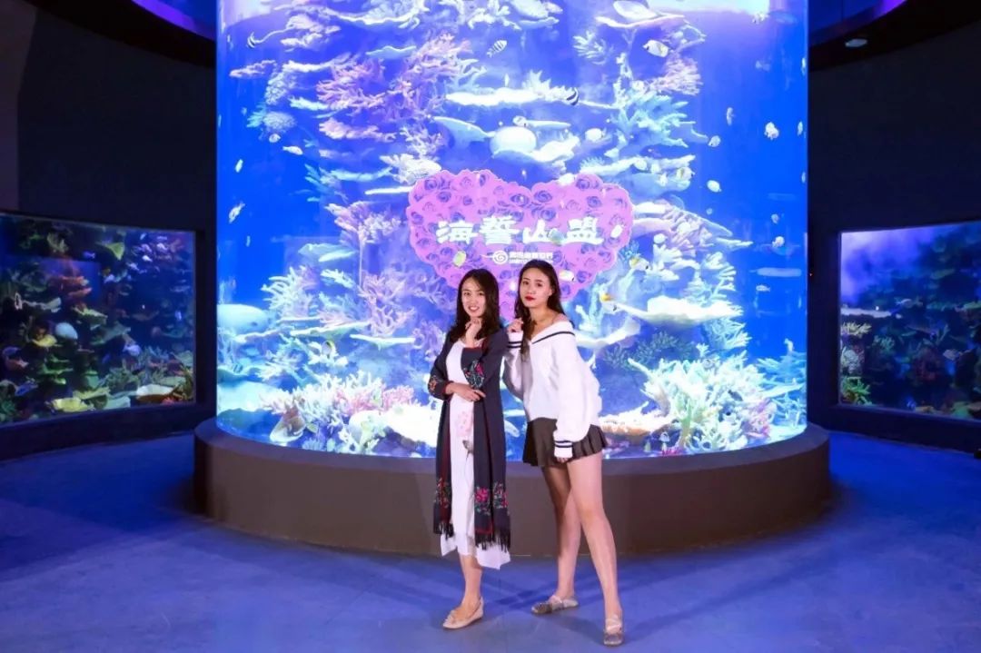 攻略五一青岛,五一出游这份假期健康指南请收好