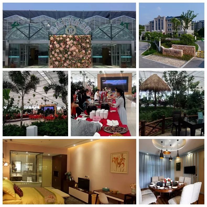 月季玫瑰花海门票免费送,五一花海门票免费送