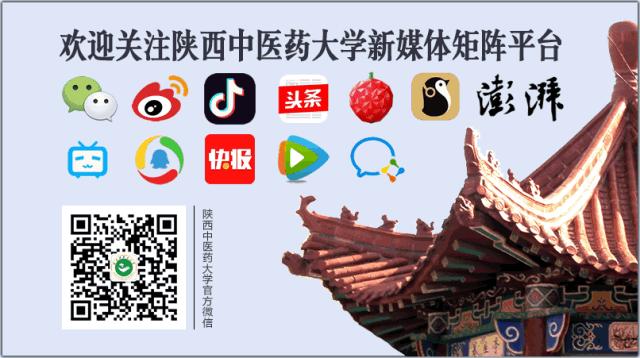 向身边优秀教师学习致敬文案,向教师致敬先进事迹