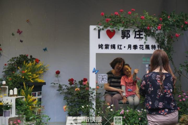 杭州郭庄月季展示,月季之城廊坊