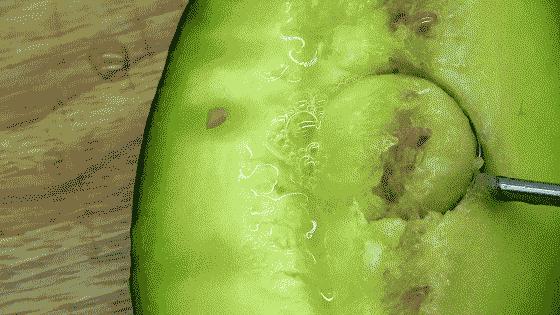 附近有哪些甜瓜采摘,好耍的采摘园