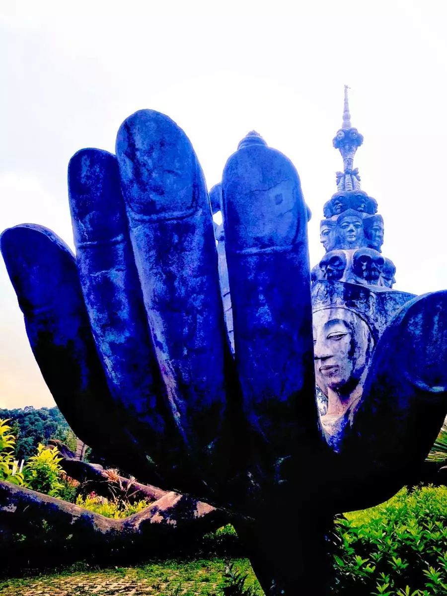 【潮玩】走啊，一起出去“浪里个浪儿~~~”