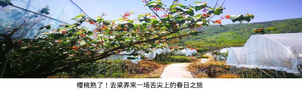 宁波室外十大网红游乐项目,宁波休闲打卡地