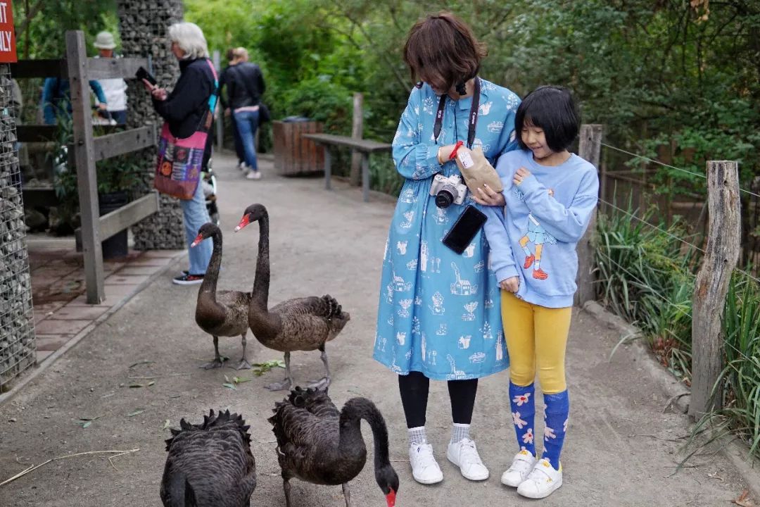 澳洲旅行需要带什么,澳洲旅行买什么保险好